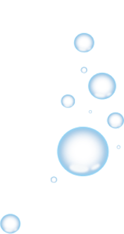 Image Right